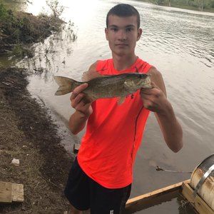 Meet your Posher, Ethan